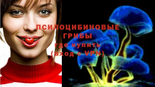 мдпв Гусев