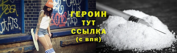 мдпв Дмитриев