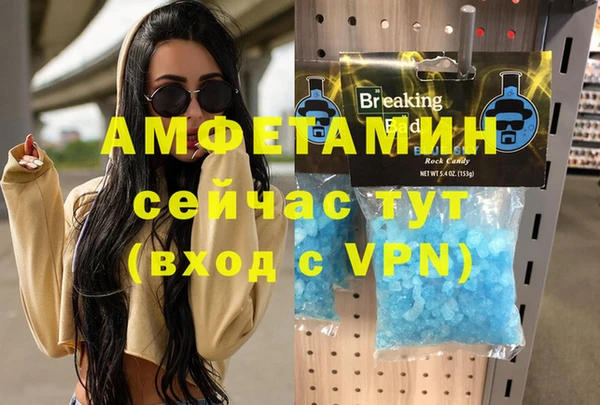 мдпв Дмитриев