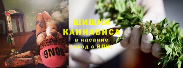 мдпв Дмитриев