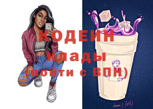 мдпв Дмитриев