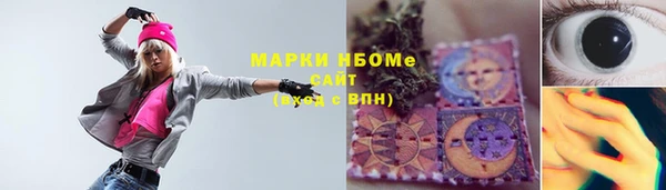 мдпв Дмитриев