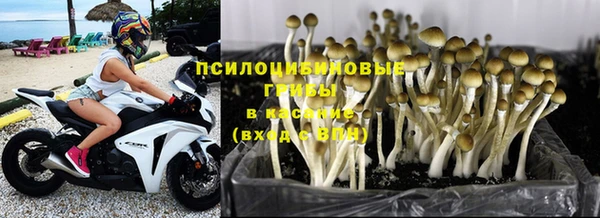 мдпв Гусев
