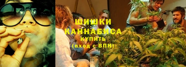 PSILOCYBIN Сосновка