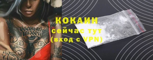 мдпв Дмитриев