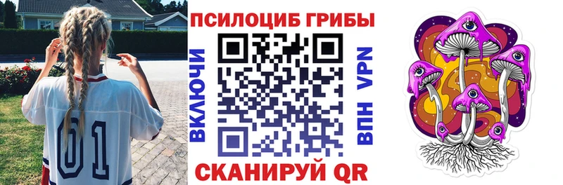 Купить закладки  Оханск  Псилоцибиновые грибы мицелий 